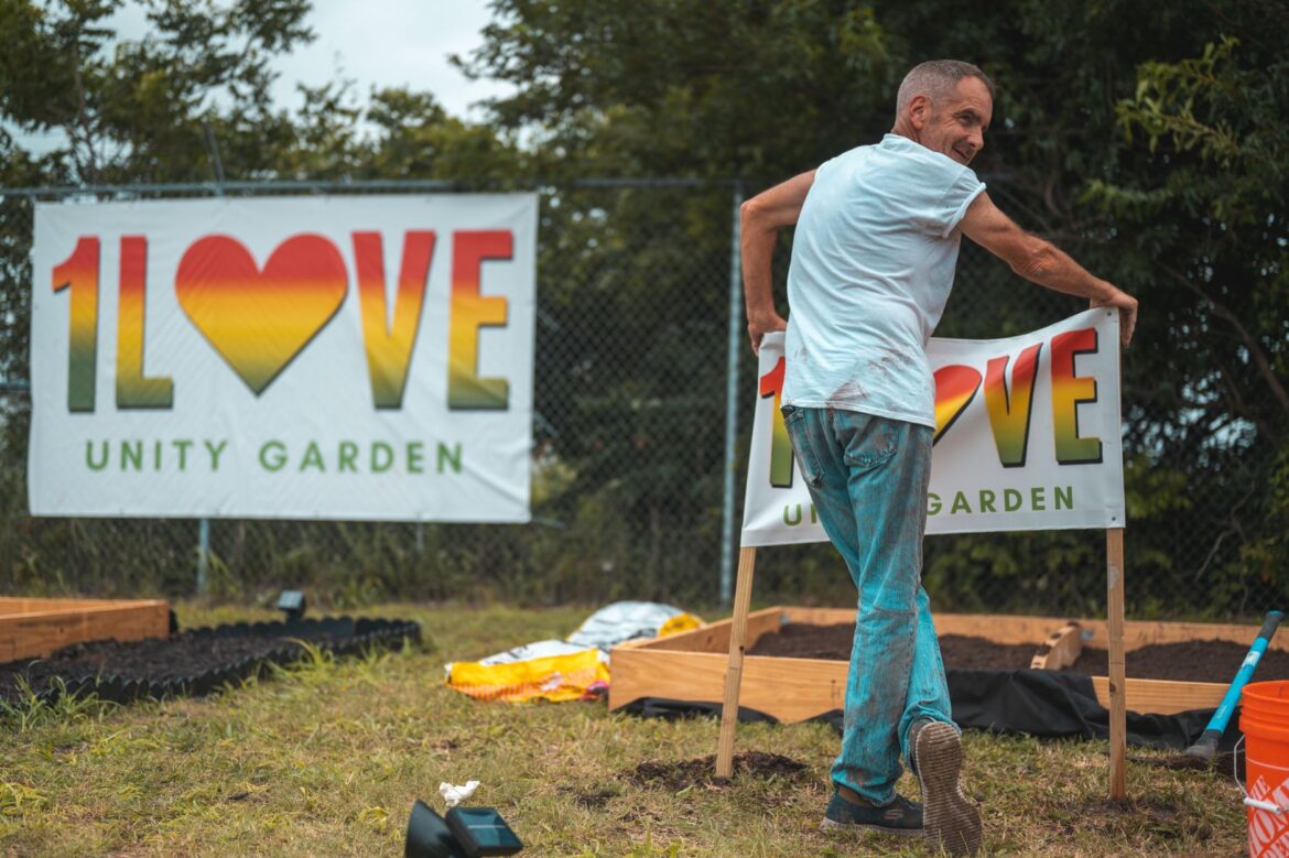 How Community Gardening Projects Transform Wallingford Neighbourhoods - ilustracja artykulu