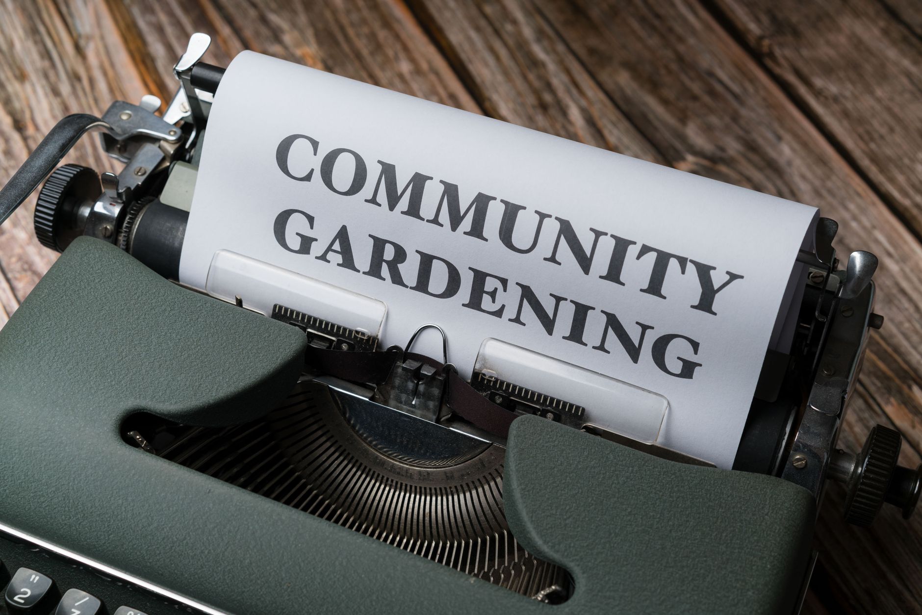 Ilustracja: How Community Gardening Projects Transform Wallingford How Community Gardening Projects Transform Wallingford Neighbourhoods - zdjecie w tresci